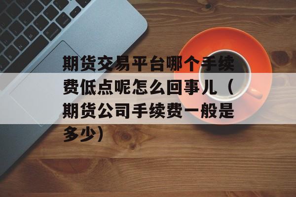 期货交易平台哪个手续费低点呢怎么回事儿（期货公司手续费一般是多少）