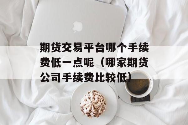 期货交易平台哪个手续费低一点呢（哪家期货公司手续费比较低）