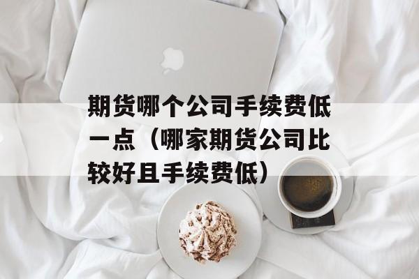 期货哪个公司手续费低一点（哪家期货公司比较好且手续费低）