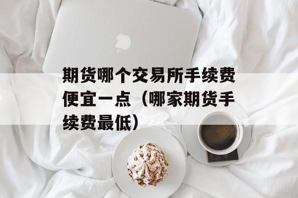 期货哪个交易所手续费便宜一点（哪家期货手续费最低）