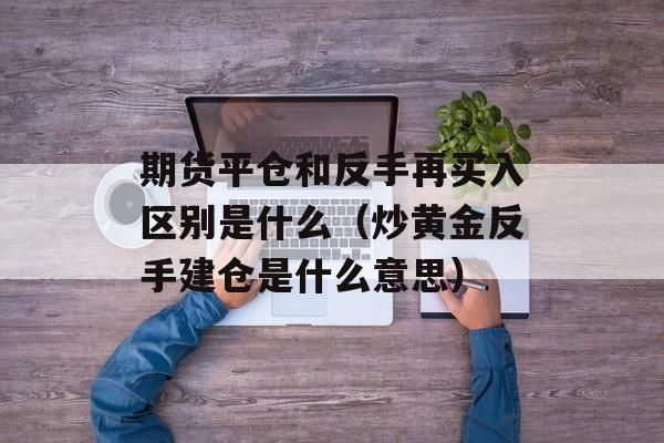 期货平仓和反手再买入区别是什么（炒黄金反手建仓是什么意思）