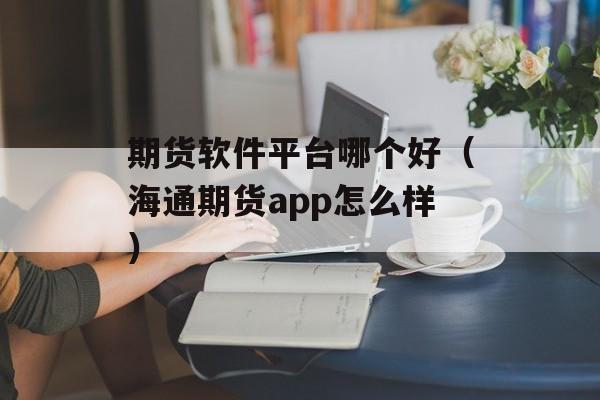 期货软件平台哪个好（海通期货app怎么样）