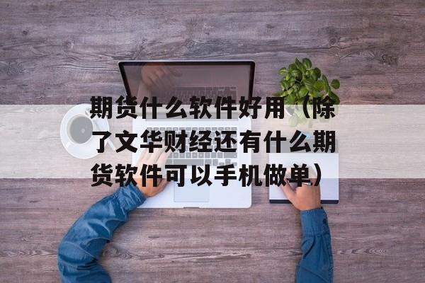 期货什么软件好用（除了文华财经还有什么期货软件可以手机做单）