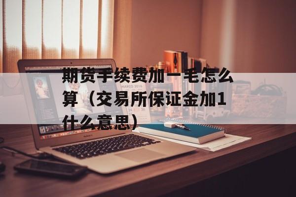 期货手续费加一毛怎么算（交易所保证金加1什么意思）