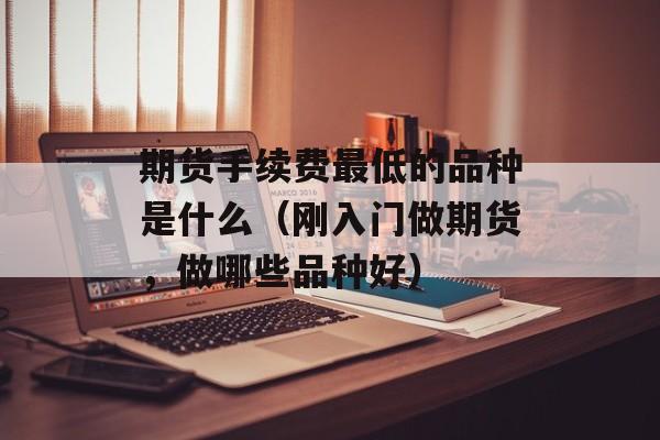 期货手续费最低的品种是什么（刚入门做期货，做哪些品种好）