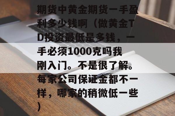 期货中黄金期货一手盈利多少钱啊（做黄金TD投资最低是多钱，一手必须1000克吗我刚入门。不是很了解。每家公司保证金都不一样，哪家的稍微低一些）