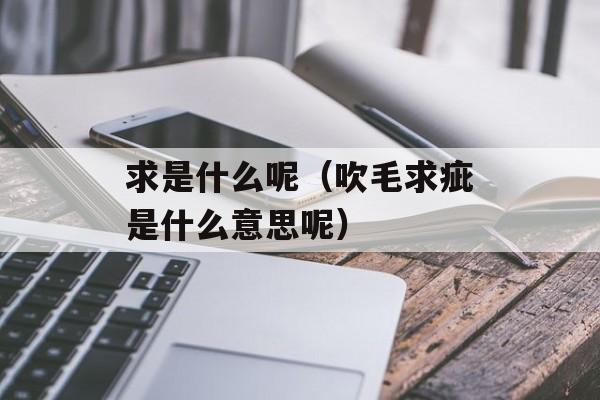 求是什么呢（吹毛求疵是什么意思呢）