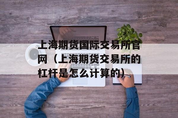 上海期货国际交易所官网（上海期货交易所的杠杆是怎么计算的）