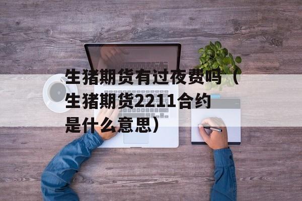 生猪期货有过夜费吗（生猪期货2211合约是什么意思）