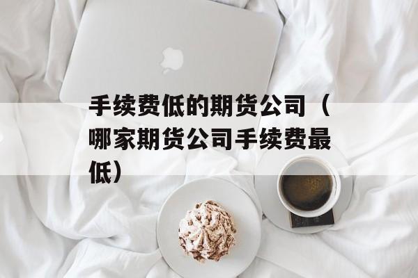 手续费低的期货公司（哪家期货公司手续费最低）