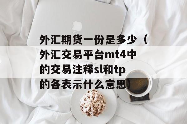 外汇期货一份是多少（外汇交易平台mt4中的交易注释sl和tp的各表示什么意思）