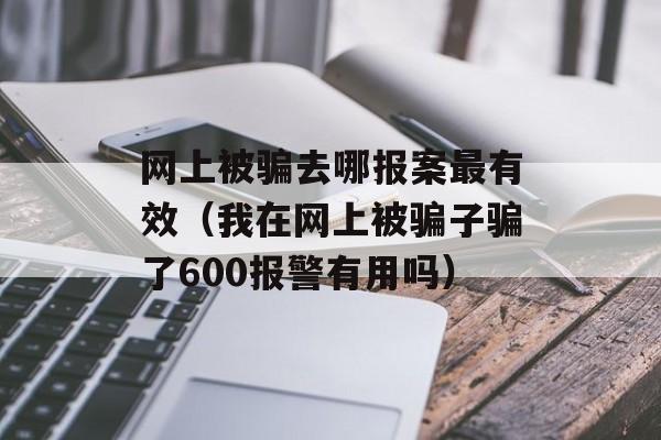 网上被骗去哪报案最有效（我在网上被骗子骗了600报警有用吗）