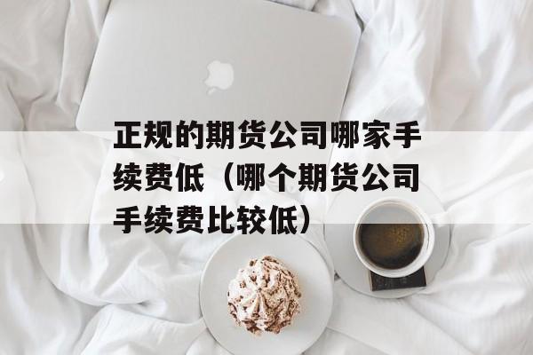 正规的期货公司哪家手续费低（哪个期货公司手续费比较低）