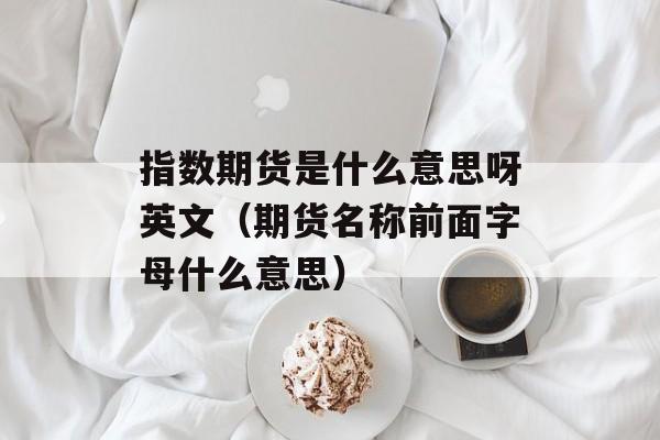 指数期货是什么意思呀英文（期货名称前面字母什么意思）