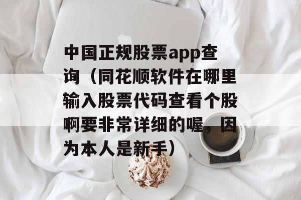 中国正规股票app查询（同花顺软件在哪里输入股票代码查看个股啊要非常详细的喔，因为本人是新手）