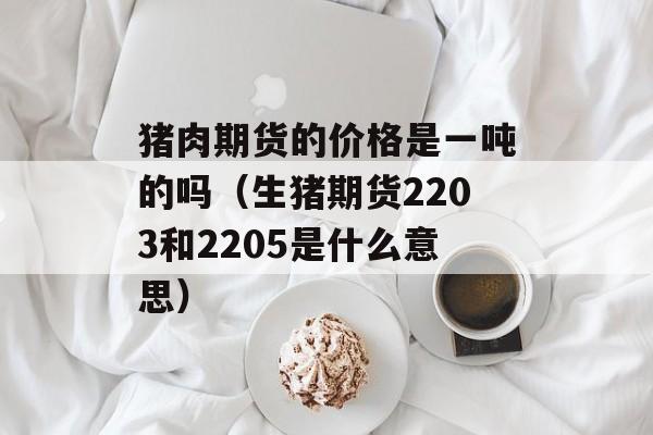 猪肉期货的价格是一吨的吗（生猪期货2203和2205是什么意思）