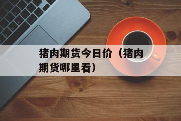 猪肉期货今日价（猪肉期货哪里看）