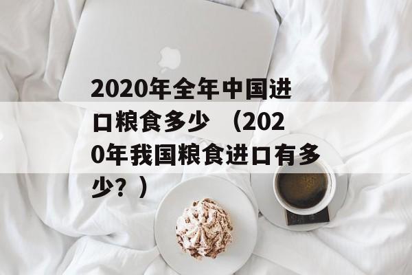 2020年全年中国进口粮食多少 （2020年我国粮食进口有多少？）