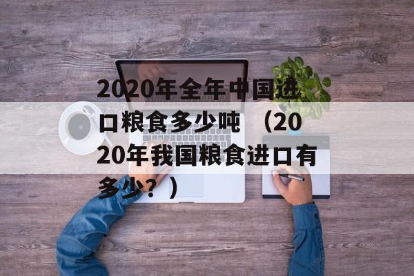 2020年全年中国进口粮食多少吨 （2020年我国粮食进口有多少？）