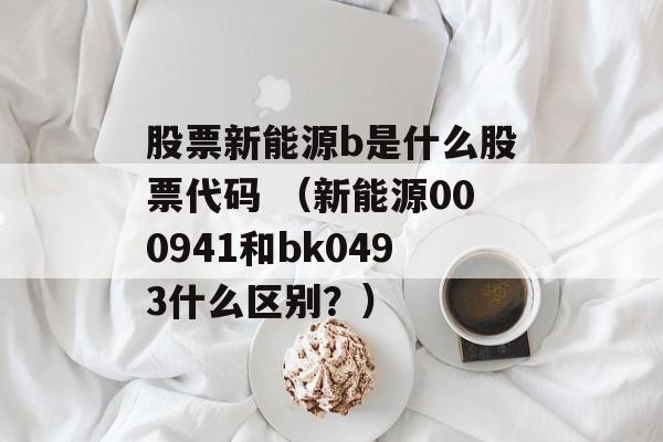 股票新能源b是什么股票代码 （新能源000941和bk0493什么区别？）