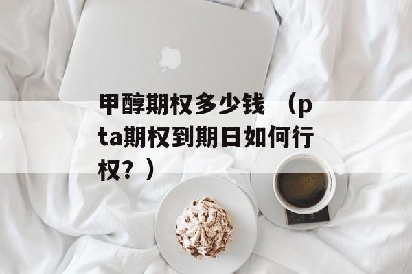 甲醇期权多少钱 （pta期权到期日如何行权？）