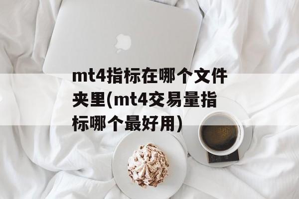 mt4指标在哪个文件夹里(mt4交易量指标哪个最好用)