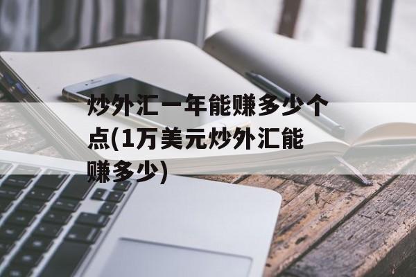 炒外汇一年能赚多少个点(1万美元炒外汇能赚多少)