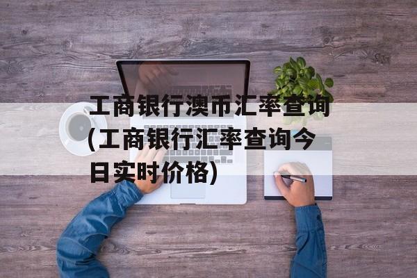 工商银行澳币汇率查询(工商银行汇率查询今日实时价格)