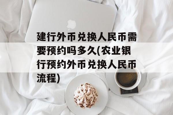 建行外币兑换人民币需要预约吗多久(农业银行预约外币兑换人民币流程)