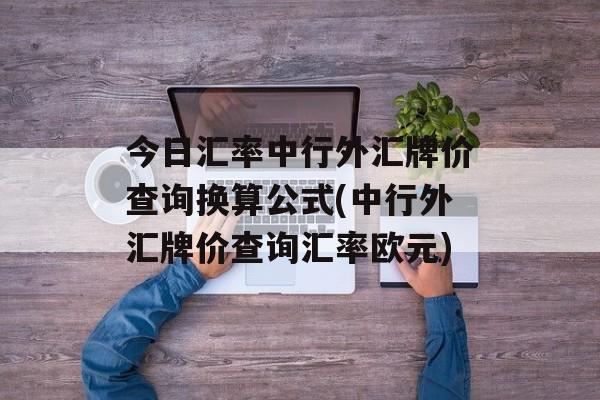 今日汇率中行外汇牌价查询换算公式(中行外汇牌价查询汇率欧元)