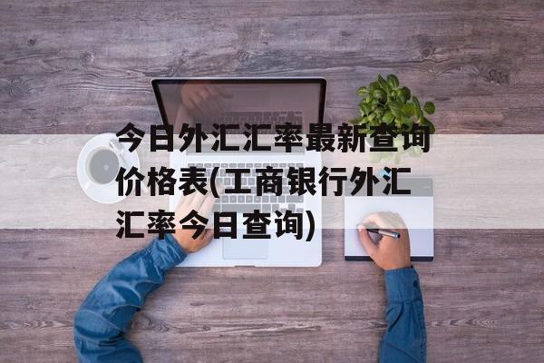 今日外汇汇率最新查询价格表(工商银行外汇汇率今日查询)