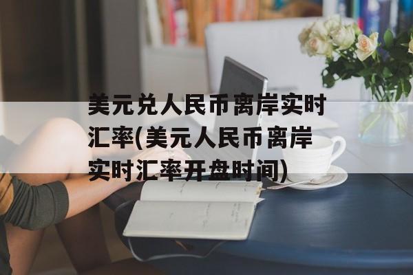 美元兑人民币离岸实时汇率(美元人民币离岸实时汇率开盘时间)