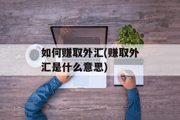 如何赚取外汇(赚取外汇是什么意思)