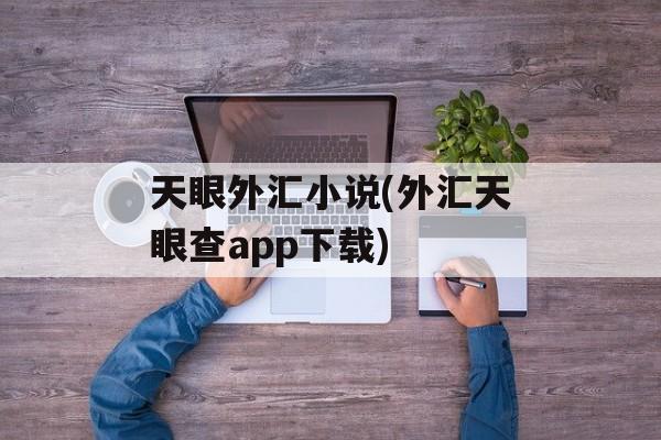 天眼外汇小说(外汇天眼查app下载)