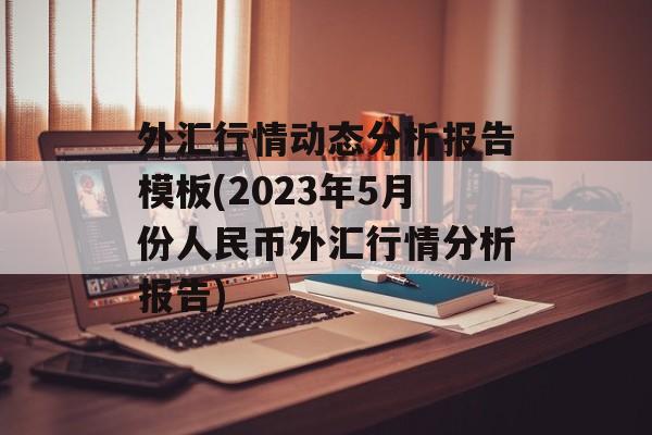 外汇行情动态分析报告模板(2023年5月份人民币外汇行情分析报告)