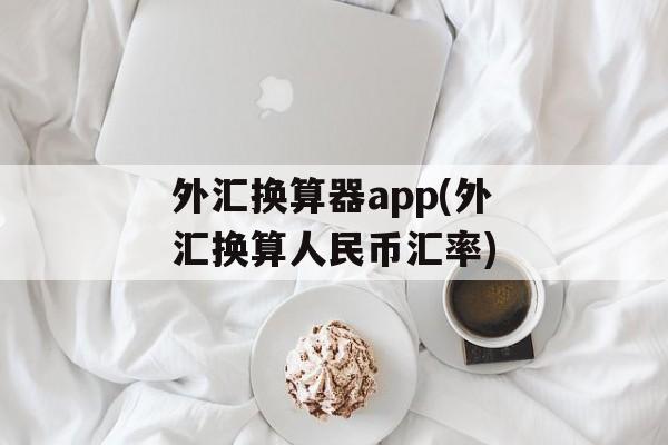 外汇换算器app(外汇换算人民币汇率)