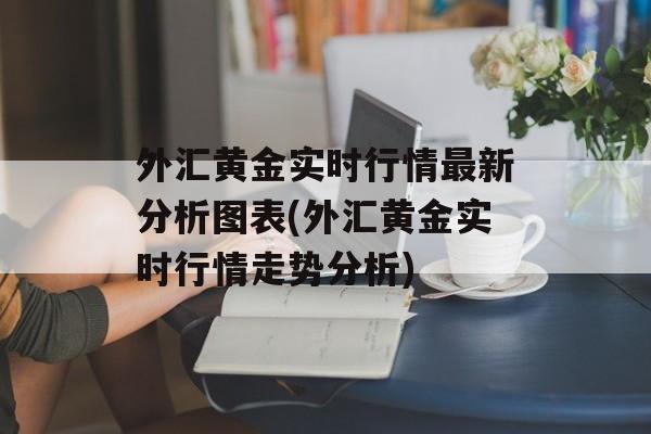 外汇黄金实时行情最新分析图表(外汇黄金实时行情走势分析)