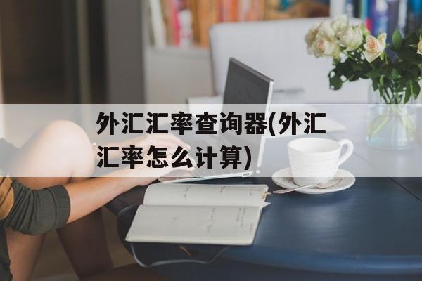 外汇汇率查询器(外汇汇率怎么计算)