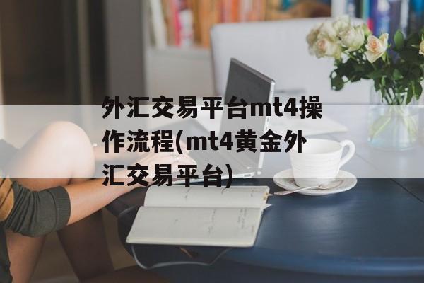 外汇交易平台mt4操作流程(mt4黄金外汇交易平台)