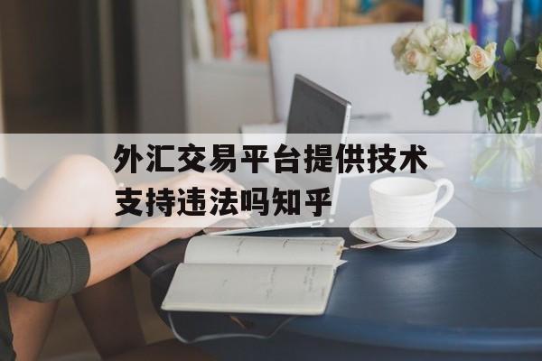 外汇交易平台提供技术支持违法吗知乎