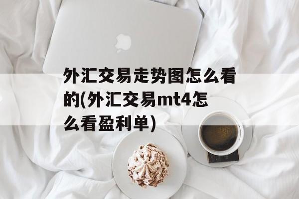 外汇交易走势图怎么看的(外汇交易mt4怎么看盈利单)