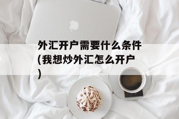 外汇开户需要什么条件(我想炒外汇怎么开户)