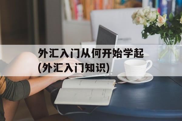 外汇入门从何开始学起(外汇入门知识)