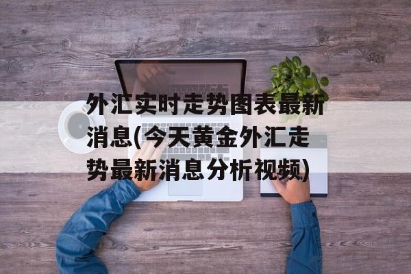 外汇实时走势图表最新消息(今天黄金外汇走势最新消息分析视频)