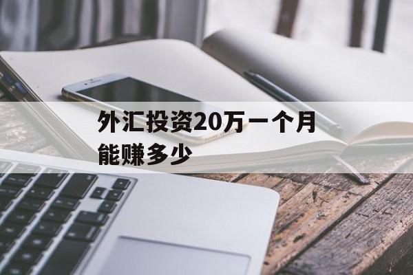 外汇投资20万一个月能赚多少