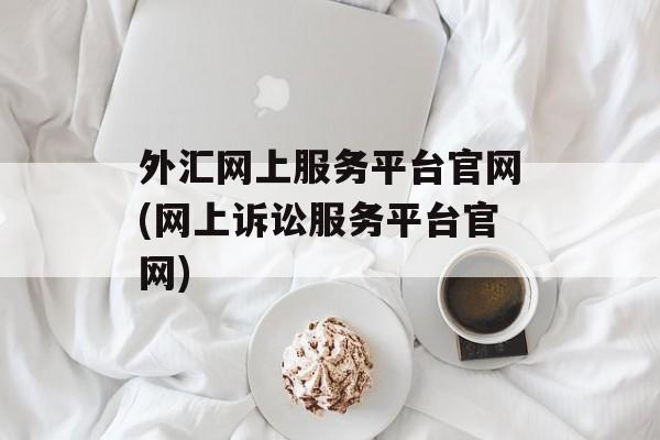 外汇网上服务平台官网(网上诉讼服务平台官网)