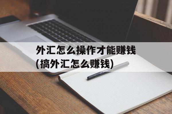 外汇怎么操作才能赚钱(搞外汇怎么赚钱)