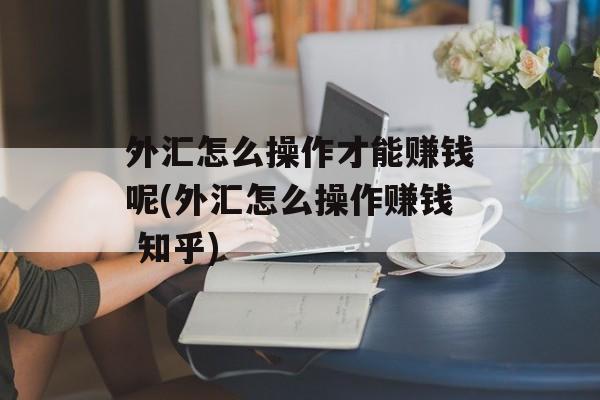 外汇怎么操作才能赚钱呢(外汇怎么操作赚钱 知乎)