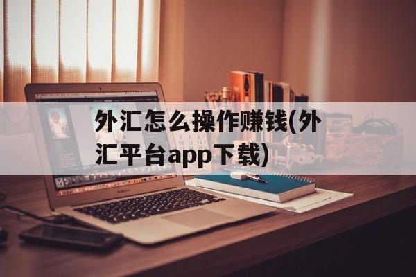 外汇怎么操作赚钱(外汇平台app下载)