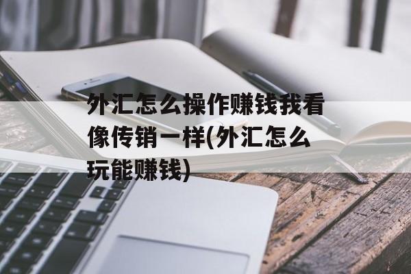 外汇怎么操作赚钱我看像传销一样(外汇怎么玩能赚钱)